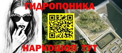 a pvp Новодвинск