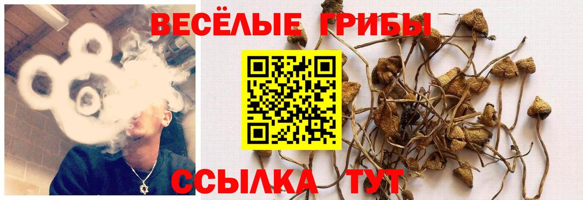 Псилоцибиновые грибы мицелий  Вход с VPN  Усинск 